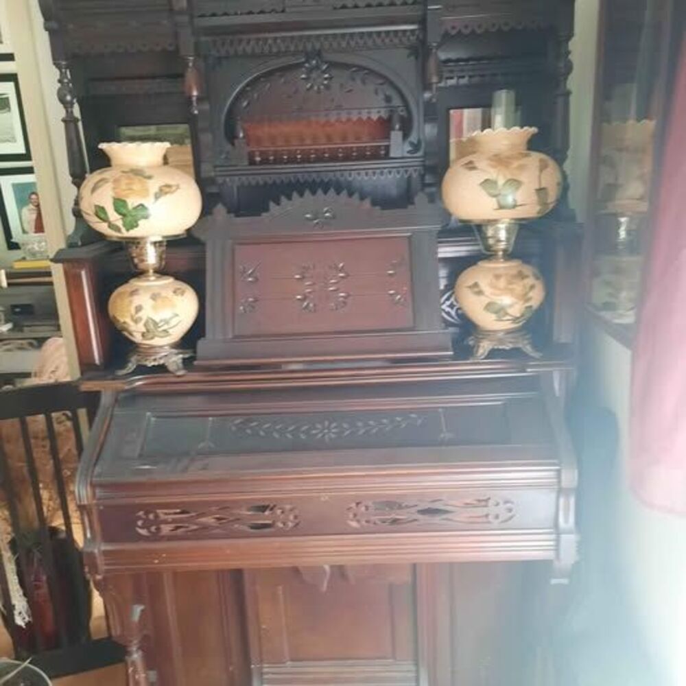 Organ